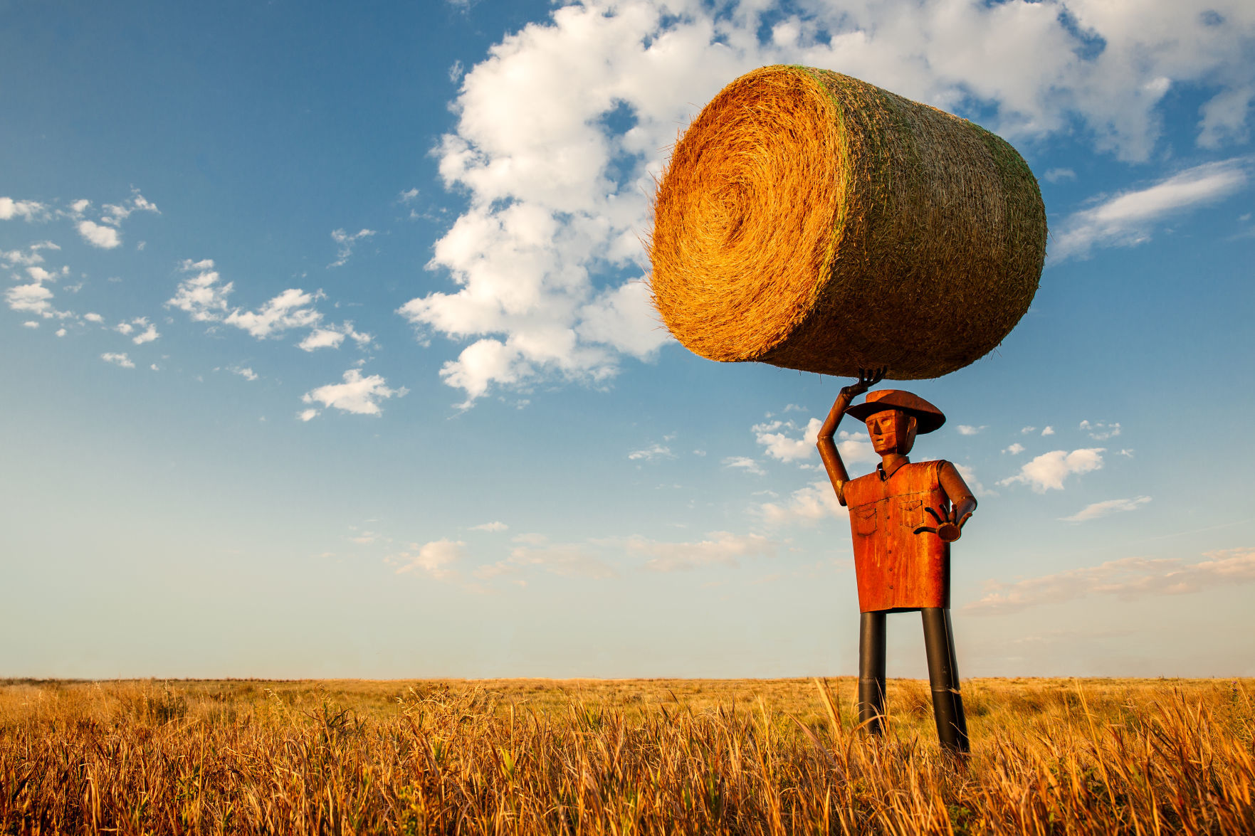 Formidable farmer